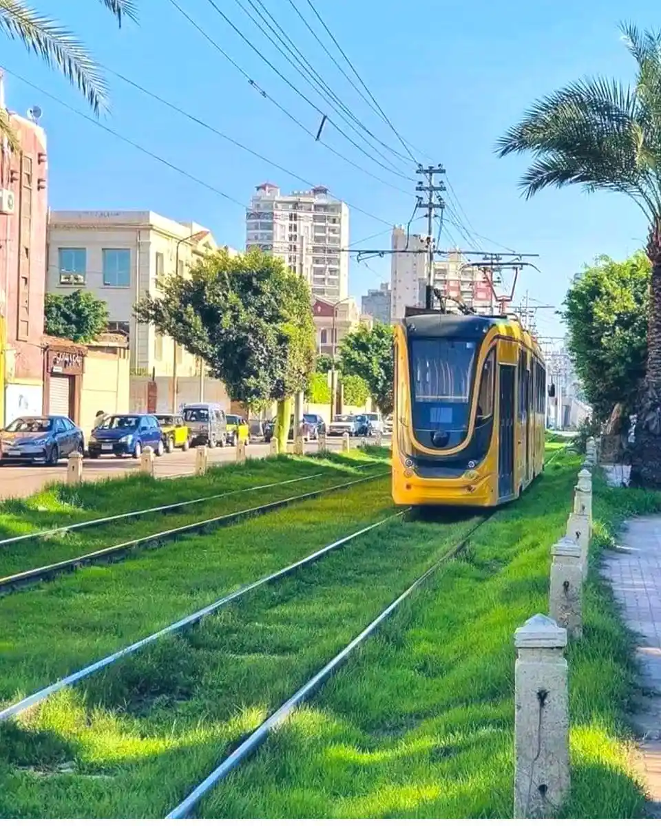 اشهر الاماكن السياحية في الاسكندرية