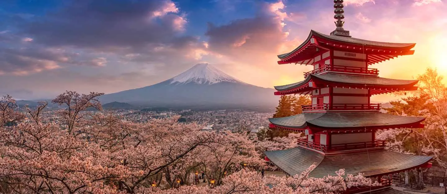 أفضل المعالم السياحية في اليابان رحلة بين التاريخ والحداثة