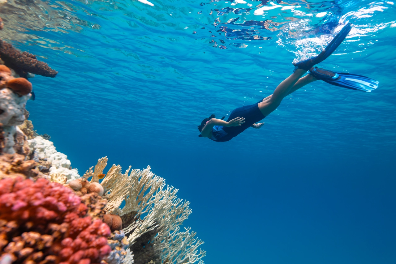 الغوص في البحر الأحمر تجربة لا تُنسى لعشاق المغامرة