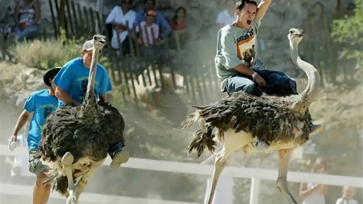 اغرب الرياضات في العالم ألعاب غير تقليدية تثير الدهشة والإعجاب