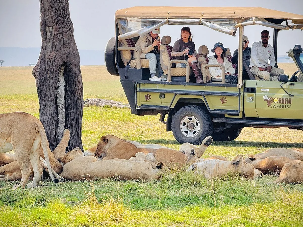 رحلات سفاري تنزانيا مغامرة في قلب الحياة البرية الأفريقية