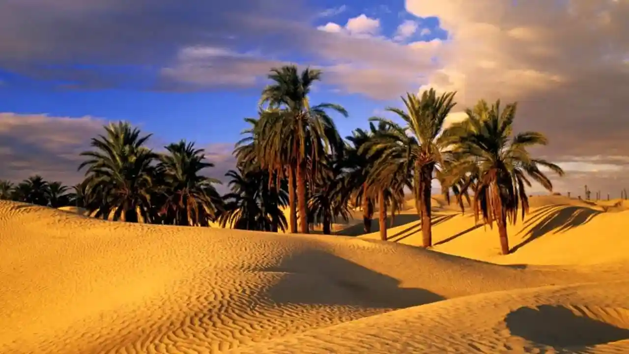 السياحة الصحراوية في تونس